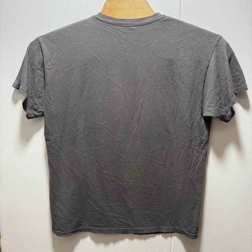Gildan Heavy Cotton Mens Large Gray Bald Eagle Nature Graphic T-Shirt Scenic Tee - Picture 5 of 5